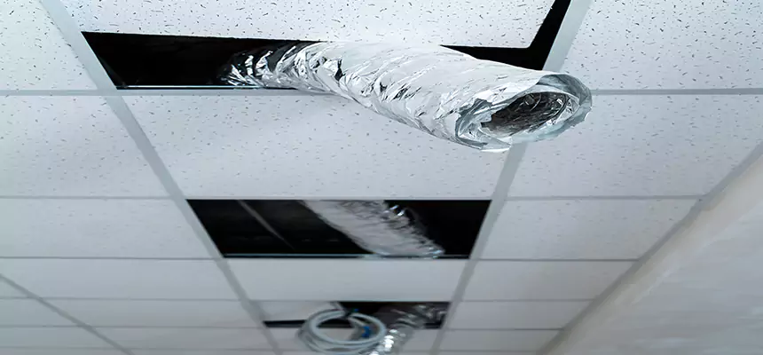 Affordable HVAC Sanitizing After Pest Removal in Lawrenceville