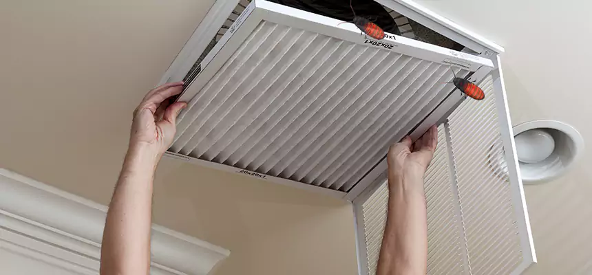 Our Insect Removal from Air Ducts Services in Lawrenceville, GA