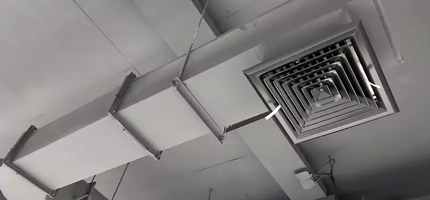 Our Pest Removal From Ducts Services in Lawrenceville, GA