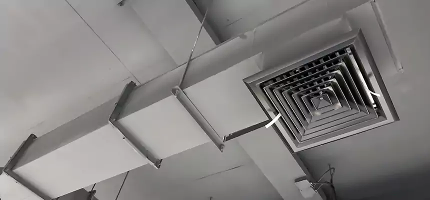 Our Rodent Droppings In Vents Services in Lawrenceville, GA