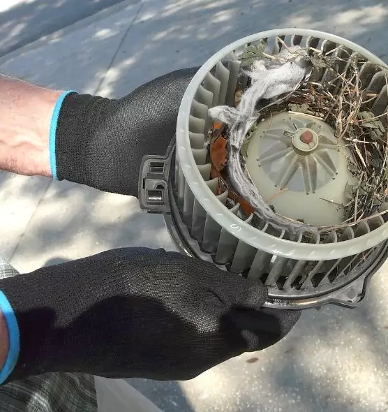 About Air Duct Rat Removal in Lawrenceville, GA